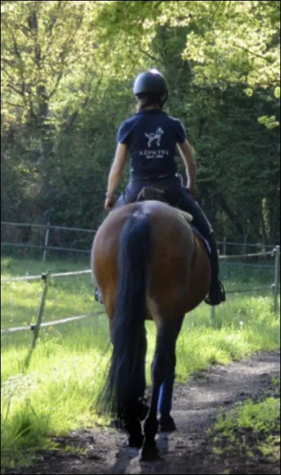 Comment partir en balade, seul avec mon cheval, en toute sécurité ?