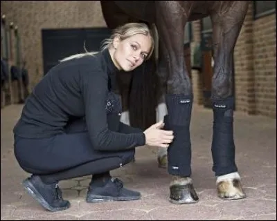 Je suis toujours à la recherche d'un bon plan shopping pour moi et mon cheval, je me rends donc sur le site de...
