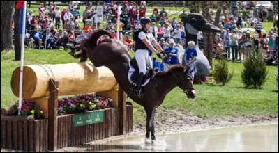 Lors d'un accident de cheval, les médecins ont pu trouver toutes mes données santé grâce à la Rider Care proposée par...