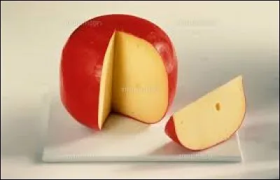 L'image représente un fromage très utilisé, comment s'appelle-t-il ?