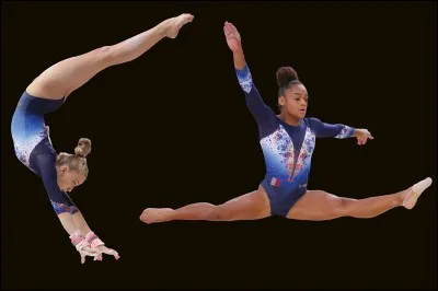 Quel loisir fais-tu ?