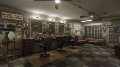 Quel genre de salon de coiffure préférez-vous ?