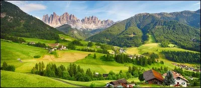 Qui représente la France au Conseil européen ?