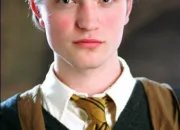 Test Quel personnage de la série ''Harry Potter'' est ton petit ami ?