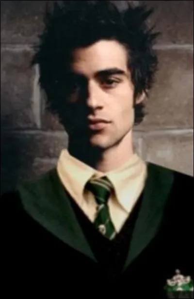 Quel animal préfères-tu parmi les animaux ci-dessous ?