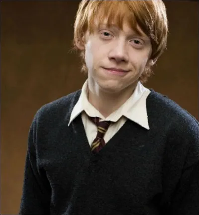 Quelle fleur préfères-tu ?