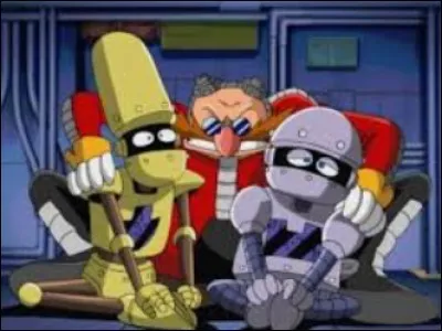 Comment s'appellent ces deux drôles de petits robots qui sont toujours à côté de Robotnik ?