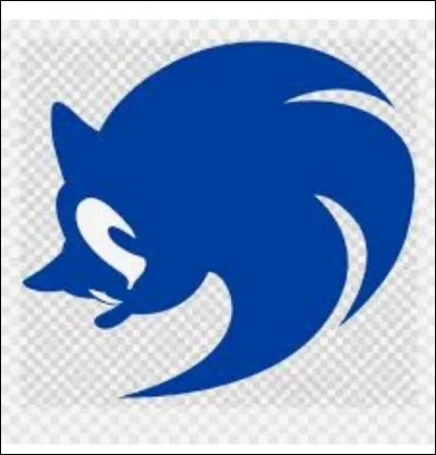 Désormais Sonic et ses amis vivront chez lui jusqu'à ce qu'ils pourront rentrer chez eux, sauf un qui n'a pas voulu vu son attitude solitaire, qui est-ce ?