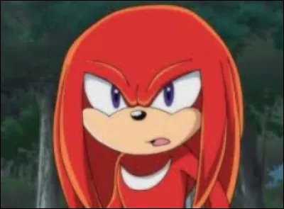 Knuckles est ...