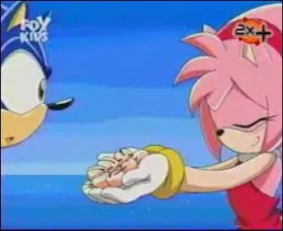 Dans l'épisode 9, «Coquillages et crustacés» que fait Amy pour Sonic ?
