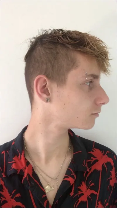 Quelle couleur de cheveux Brandon VBK n'a-t-il pas eue ?