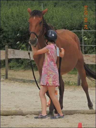 Quelle est cette discipline ?