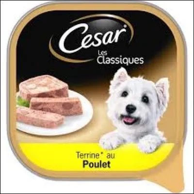 Quelle race de chien est la mascotte de la marque de pâté pour les chiens 'César' ?