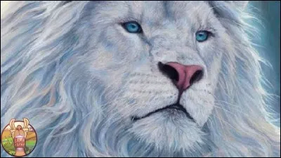 A quelle famille appartient le furet ?