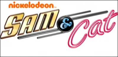 Quelle réponse est fausse ?