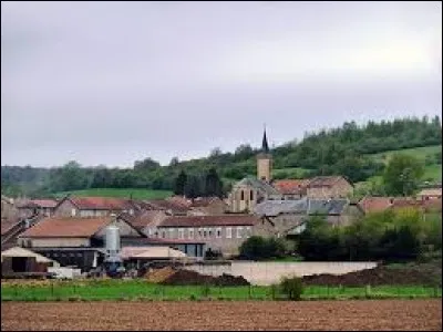 Nous sommes dans le Grand-Est, &agrave; Olizy-sur-Chiers. Village &agrave; la fronti&egrave;re luxembourgeoise, il se situe dans le d&eacute;partement ...