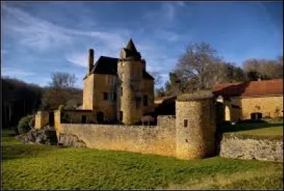 Je vous propose de partir en Nouvelle-Aquitaine &agrave; la d&eacute;couverte du manoir du Cluzeau &agrave; Proissans. Commune du P&eacute;rigord noir, dans l'aire urbaine de Sarlat-la-Can&eacute;da, elle se situe dans le d&eacute;partement ...