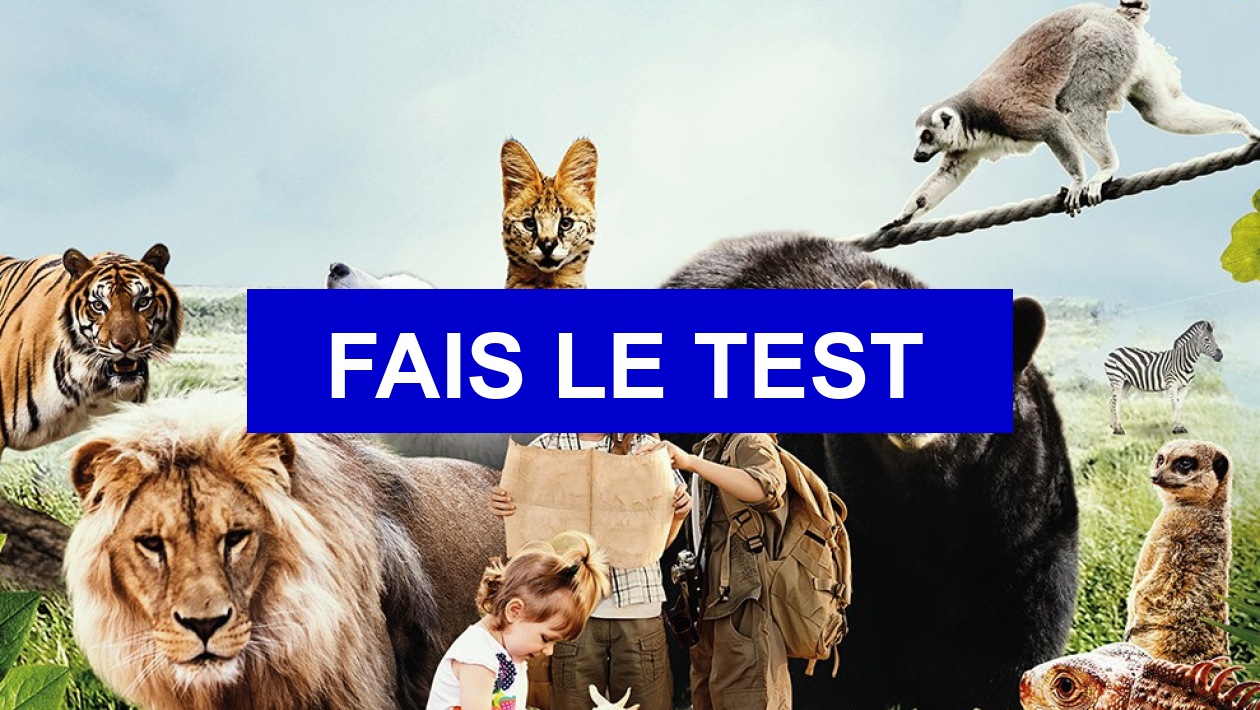 Test de personnalité Quel est ton animal totem
