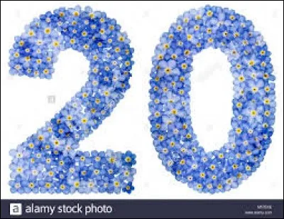 Qui présente, en 2019, le journal de 20 Heures, le vendredi et le samedi, sur France 2 ?