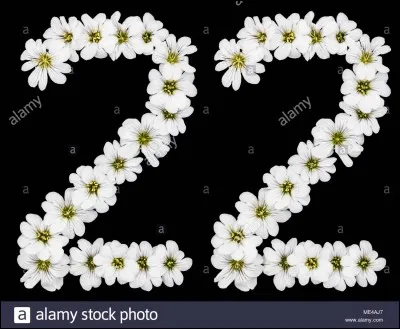 Quel est le titre du film de David Moreau dans lequel joue Virginie Efira ?