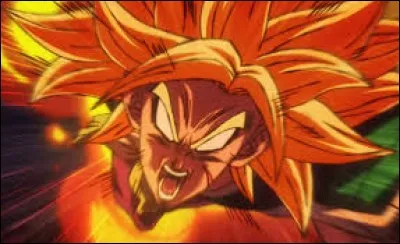 Qui affronte Broly lors du combat final ?