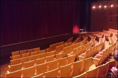 O&ugrave; peut-on voir la salle de spectacle le Grand T ?