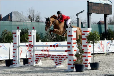 Quelle est la première phase du saut ?