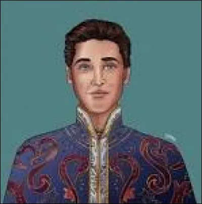 Quel est l'esprit que Sophie voulait absolument soigner ?