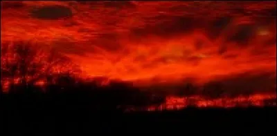 À quelle uvre l'auteur rend-il hommage lors d'une séquence musicale ?