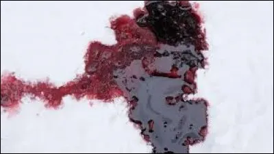 Qui a découvert le corps de Hati en premier ?