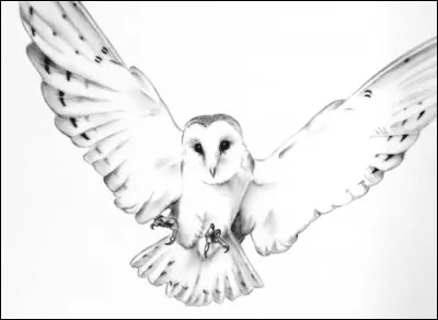 Comment sont nommés les animaux divins et les émissaires de Vorlock ?