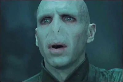 Je vous parle tout doucement, parce que normalement, il est celui dont on ne doit pas prononcer le nom, alors chut ...