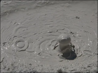 Aimes-tu te rouler dans la boue ?