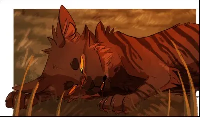 Comment meurt Étoile du Tigre ?