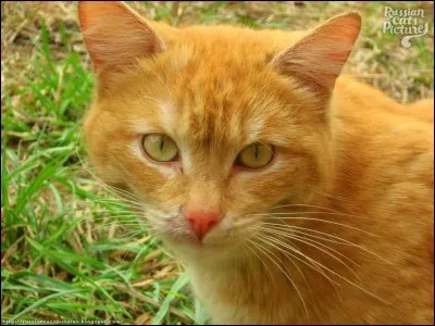 Quel est son nom d'apprenti ?