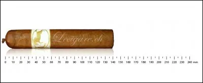 Quel autre métier a exercé Pablo Neruda, le célèbre auteur chilien ?