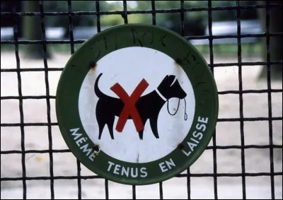 Tu pars en vacances avec ton chien mais l'hôtel lui est interdit.