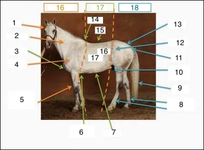 À quoi correspond le nombre 14 sur l'image ?