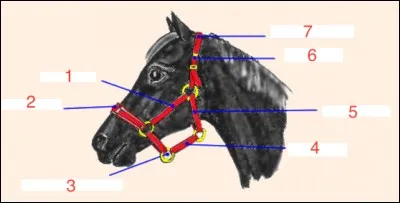 À quoi correspond le numéro 1 sur l'image ?