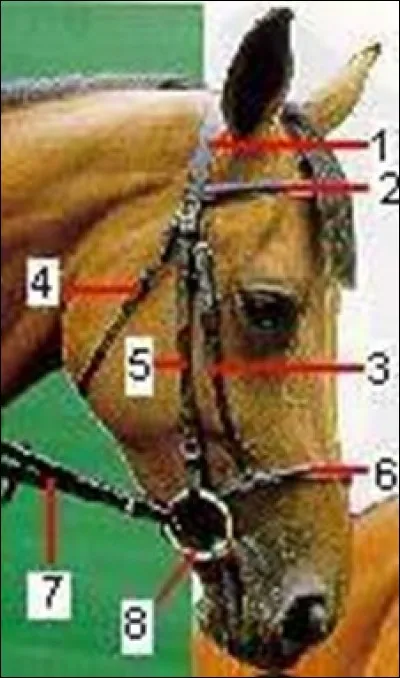 À quoi correspond le numéro 5 sur l'image ?