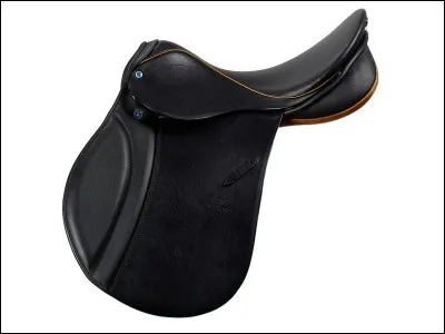 Quelle est la selle qui n'existe pas ?