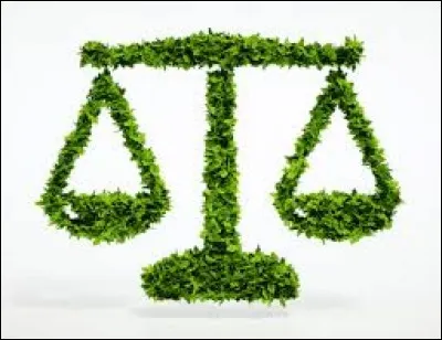 Laquelle de ces quatre propositions ne constitue pas un instrument des pouvoirs publics en matière de protection de l'environnement ?