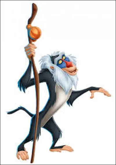Où peut-on voir Rafiki ?