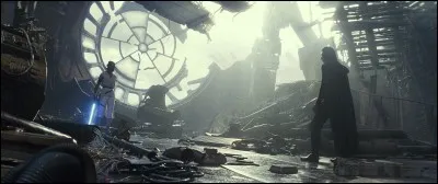 Ces deux personnages de la saga sont :