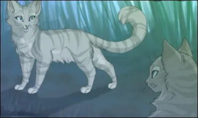 À l'Assemblée, tu aperçois un(e) très joli(e) chat(te) d'un autre clan. Que fais-tu ?