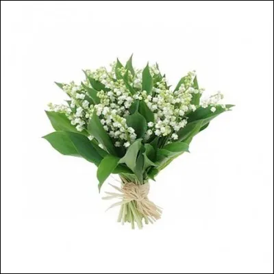 Quel est ce film de Nicolas Cuche sorti en 2016 ?