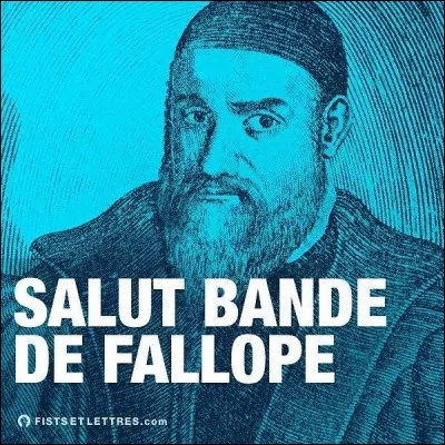 Où se trouve situé le canal de Falloppe ?