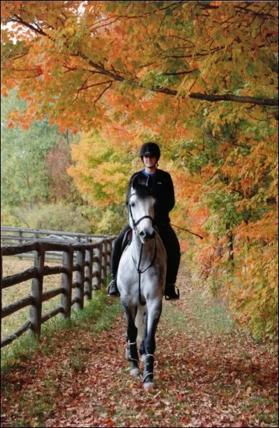 En termes de monte, tu préférerais faire...