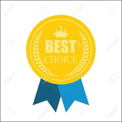 Et quelle est ta principale qualité ?