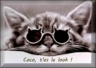 Qui chantait : "T'as le look coco" ?
